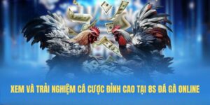 Xem và trải nghiệm cá cược đỉnh cao tại 8S đá gà online