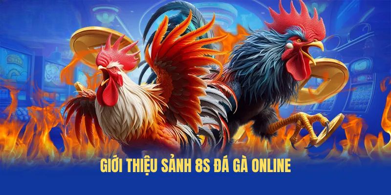 Giới Thiệu sảnh 8s đá gà online